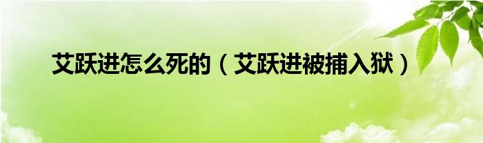 艾跃进怎么死的(艾跃进被捕入狱)