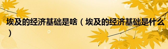 埃及的经济基础是啥(埃及的经济基础是什么)