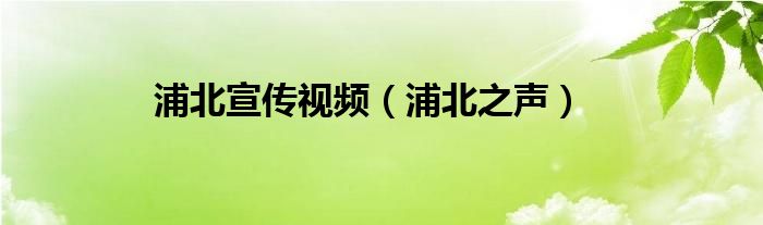 浦北宣传视频（浦北之声）