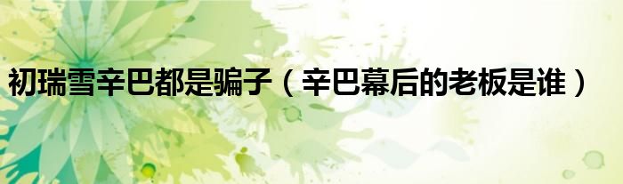 初瑞雪辛巴都是骗子(辛巴幕后的老板是谁)