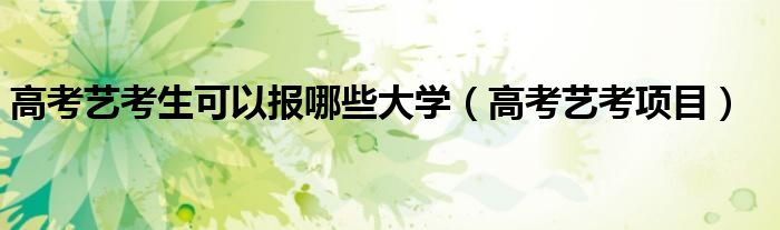 高考艺考生可以报哪些大学(高考艺考项目)