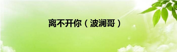离不开你（波澜哥）