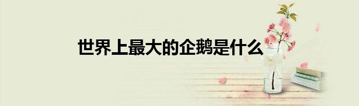世界上最大的企鹅是什么