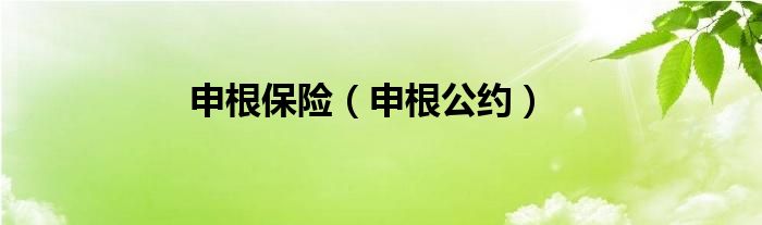 申根保险（申根公约）