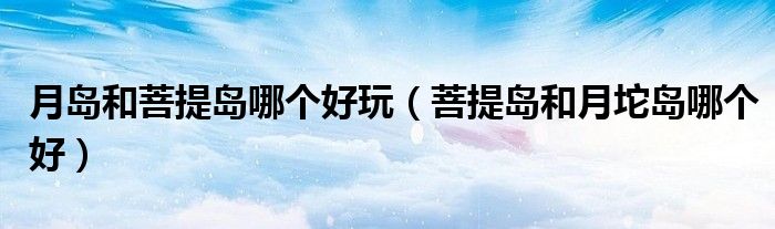 月岛和菩提岛哪个好玩(菩提岛和月坨岛哪个好)
