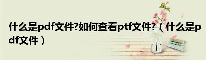 什么是pdf文件?如何查看ptf文件?(什么是pdf文件)