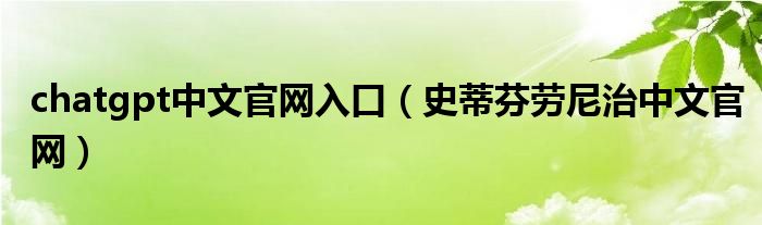 chatgpt中文官网入口(史蒂芬劳尼治中文官网)