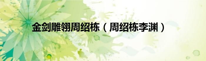 金剑雕翎周绍栋(周绍栋李渊)