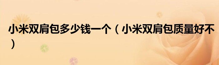 小米双肩包多少钱一个(小米双肩包质量好不)