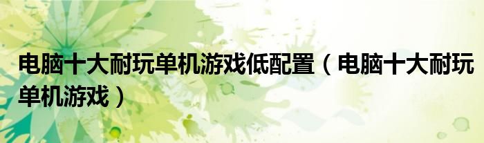 电脑十大耐玩单机游戏低配置(电脑十大耐玩单机游戏)