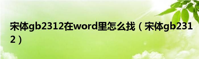 宋体gb2312在word里怎么找(宋体gb2312)