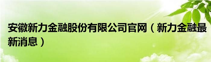 安徽新力金融股份有限公司官网(新力金融最新消息)