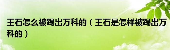 王石怎么被踢出万科的(王石是怎样被踢出万科的)