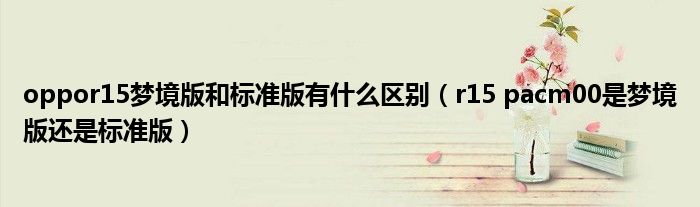oppor15梦境版和标准版有什么区别(r15 pacm00是梦境版还是标准版)
