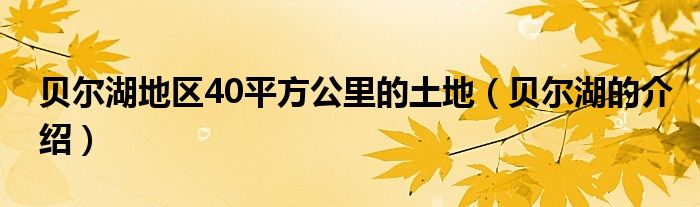 贝尔湖地区40平方公里的土地(贝尔湖的介绍)