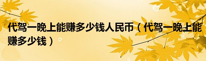代驾一晚上能赚多少钱人民币(代驾一晚上能赚多少钱)