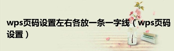 wps页码设置左右各放一条一字线(wps页码设置)