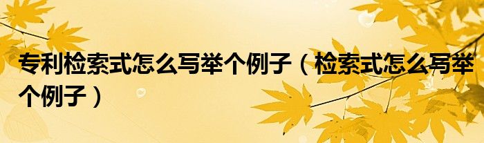 专利检索式怎么写举个例子(检索式怎么写举个例子)