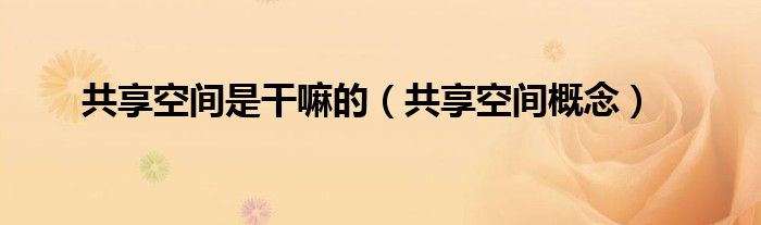 共享空间是干嘛的(共享空间概念)