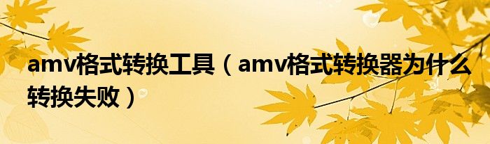 amv格式转换工具(amv格式转换器为什么转换失败)