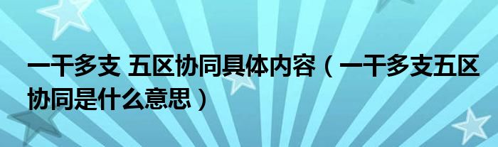 一干多支 五区协同具体内容(一干多支五区协同是什么意思)