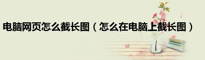 电脑网页怎么截长图(怎么在电脑上截长图)