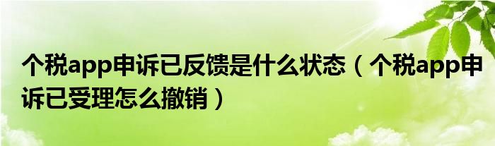 个税app申诉已反馈是什么状态(个税app申诉已受理怎么撤销)