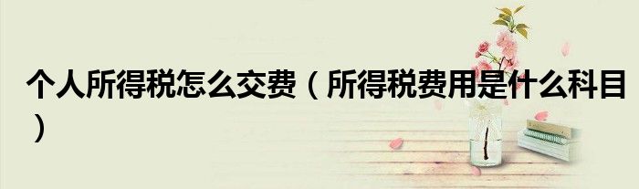 个人所得税怎么交费(所得税费用是什么科目)