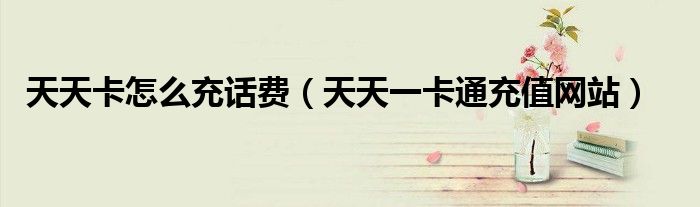 天天卡怎么充话费(天天一卡通充值网站)
