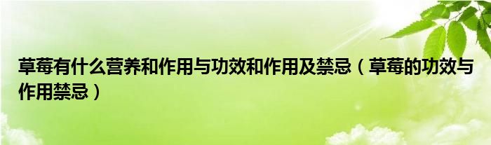 草莓有什么营养和作用与功效和作用及禁忌(草莓的功效与作用禁忌)