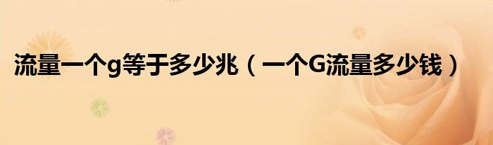流量一个g等于多少兆(一个G流量多少钱)