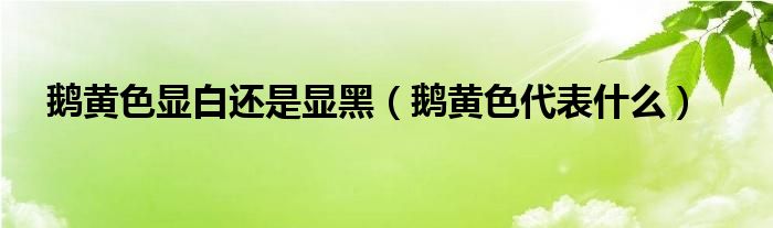 鹅黄色显白还是显黑(鹅黄色代表什么)