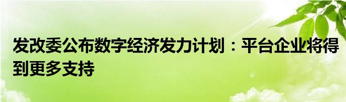 发改委公布数字经济发力计划:平台企业将得到更多支持