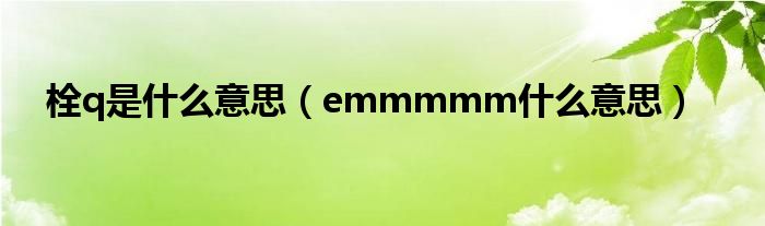 栓q是什么意思(emmmmm什么意思)