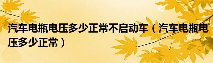 汽车电瓶电压多少正常不启动车(汽车电瓶电压多少正常)