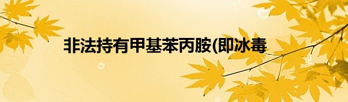 非法持有甲基苯丙胺(即冰毒