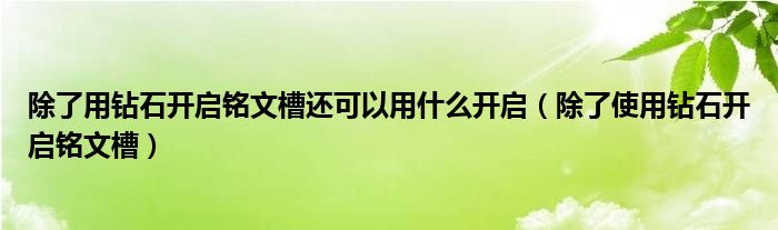 除了用钻石开启铭文槽还可以用什么开启(除了使用钻石开启铭文槽)