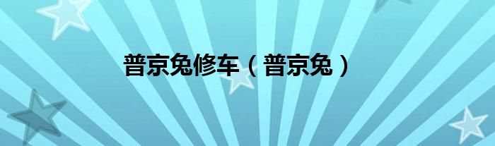 普京兔修车（普京兔）