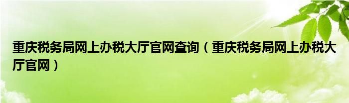 重庆税务局网上办税大厅官网查询(重庆税务局网上办税大厅官网)