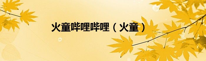 火童哔哩哔哩（火童）