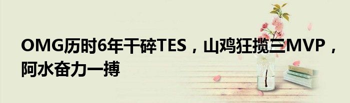 OMG历时6年干碎TES,山鸡狂揽三MVP,阿水奋力一搏