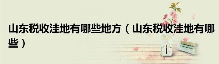 山东税收洼地有哪些地方(山东税收洼地有哪些)