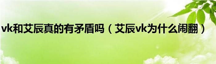 vk和艾辰真的有矛盾吗(艾辰vk为什么闹翻)