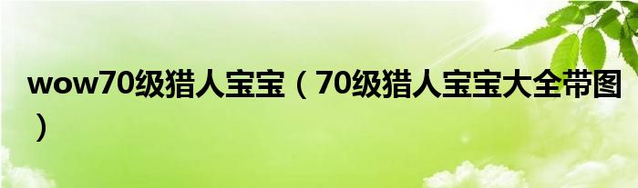 wow70级猎人宝宝(70级猎人宝宝大全带图)