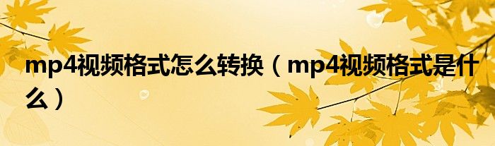 mp4视频格式怎么转换(mp4视频格式是什么)