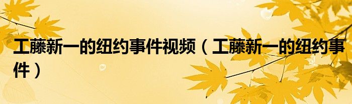 工藤新一的纽约事件视频(工藤新一的纽约事件)