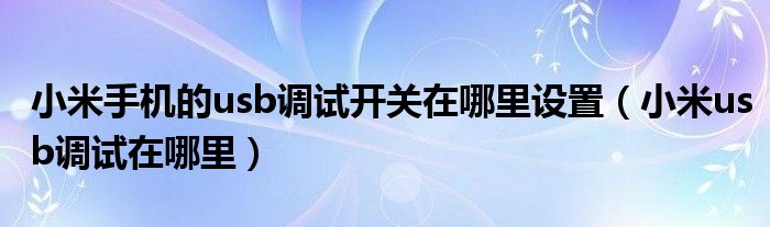 小米手机的usb调试开关在哪里设置(小米usb调试在哪里)