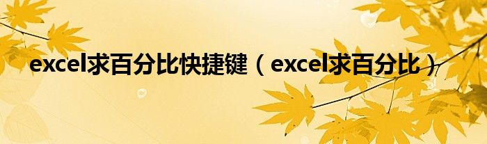 excel求百分比快捷键(excel求百分比)