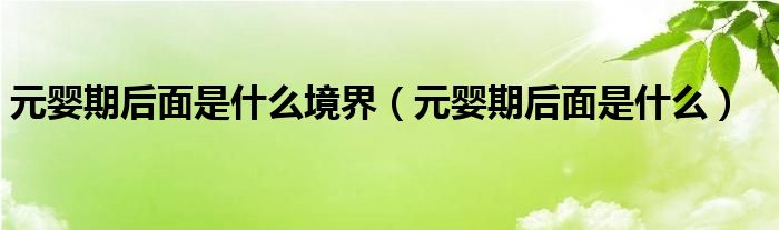 元婴期后面是什么境界(元婴期后面是什么)