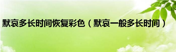 默哀多长时间恢复彩色(默哀一般多长时间)